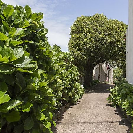 Casa Do Maranhao - Nature & Views Experience Capelas Buitenkant foto